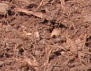 Fine Cut Hardwood Mulch